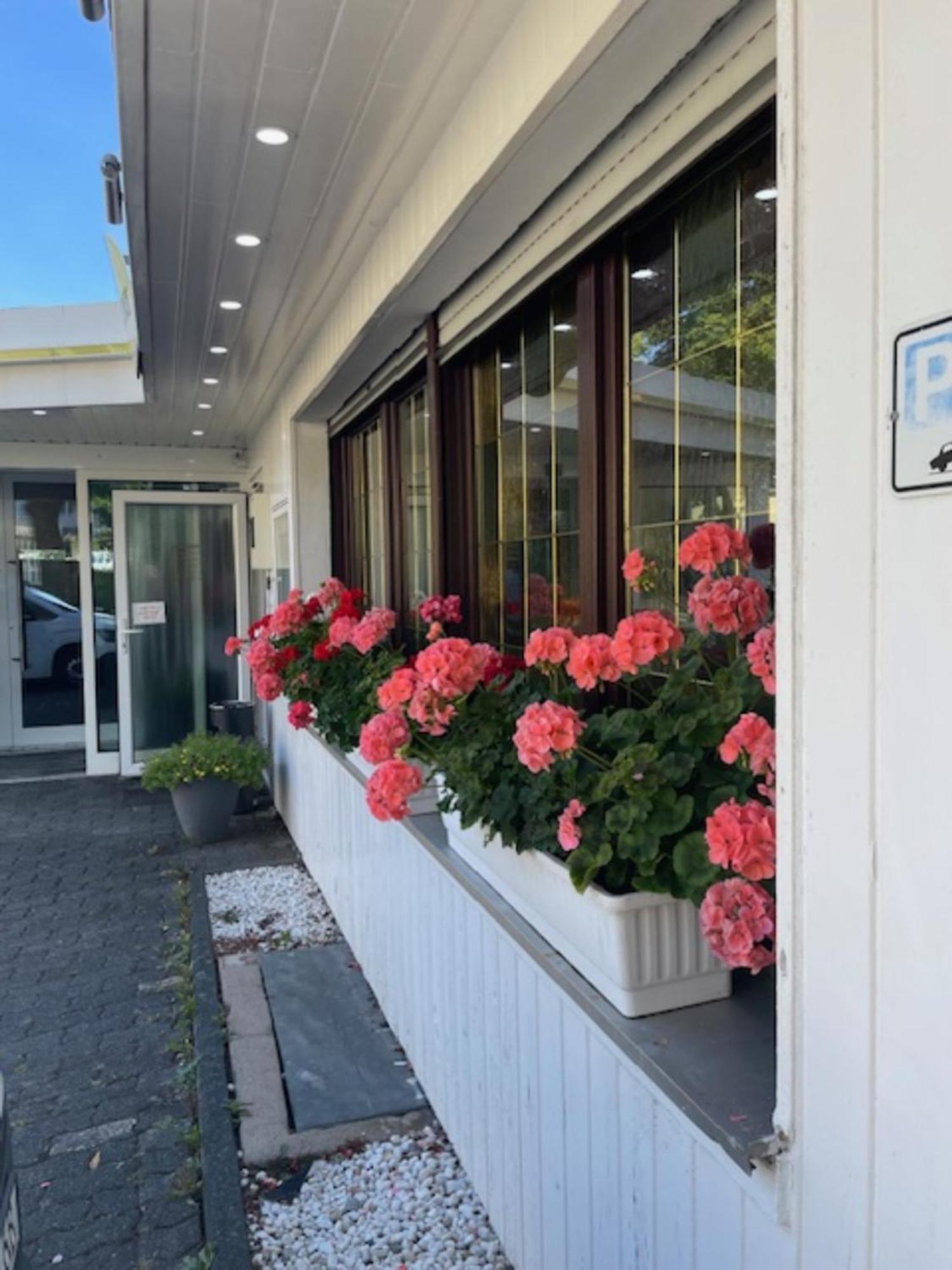 Hotel Schaefer ジーゲン エクステリア 写真